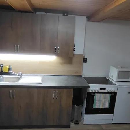 U Dyntaru Apartment