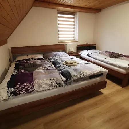 U Dyntaru Apartment *