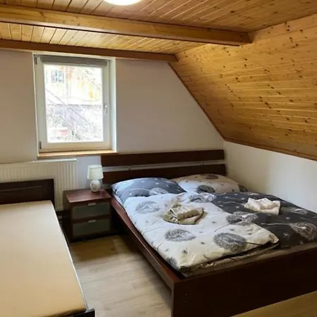 U Dyntaru Apartment *